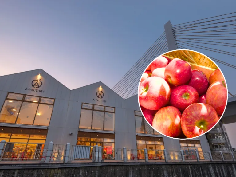 yoshitomo nara museum in japan apple park aomori prefectures in japan 