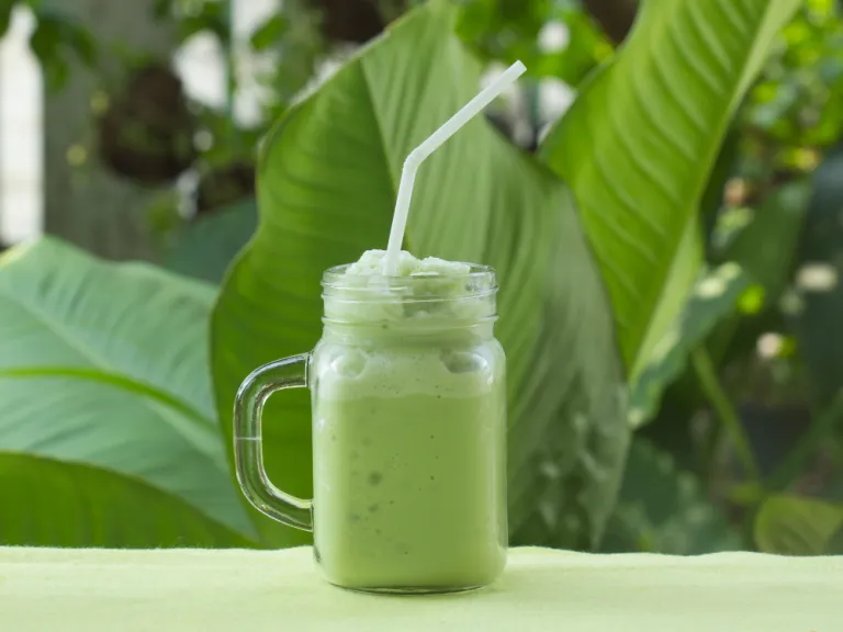 matcha festival manila sm moa mall of asia green tea japanese drink matchafestCanva Pro