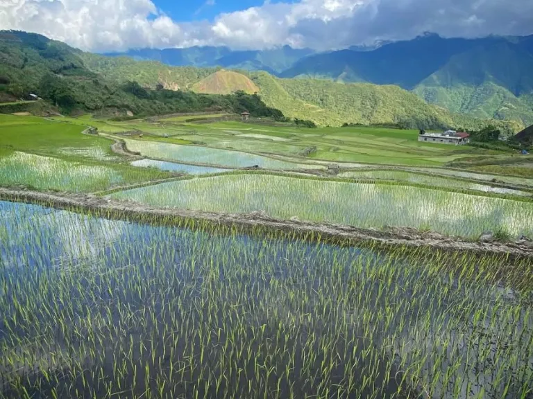 buscalan kalinga cordillera apo whang od how to get to buscalan how to meet apo whang od how to travel to cordillera to get tattoo from apo whang od last mambabatok tattoo queen of cordillera philippines banaue rice terraces seven wonders of the world