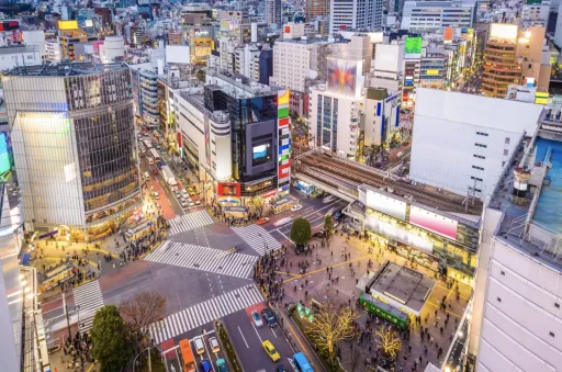 image for article Why Filipino Travellers Should Explore Tokyo in November