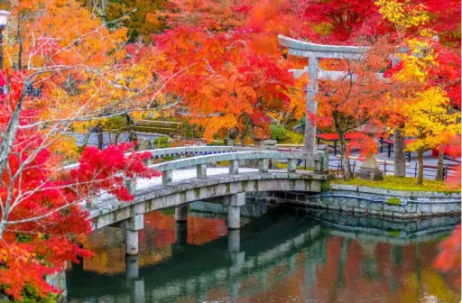 image for article Best Autumn Spots in Kyoto for Filipino Travellers