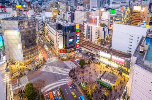 image for article Why Filipino Travellers Should Explore Tokyo in November