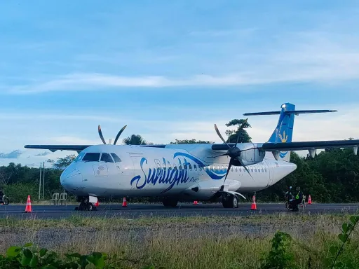 image for article Sunlight Air Plane Incident in Siquijor Explained for Travellers