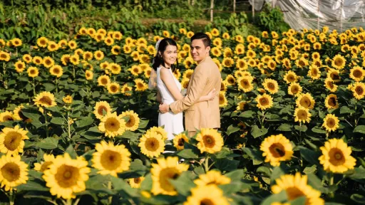 Bahong Sunflower Farm La Trinidad: Entrance Fees, Commute Guide, and Travel Tips image for article Bahong Sunflower Farm La Trinidad: Entrance Fees, Commute Guide, and Travel Tips