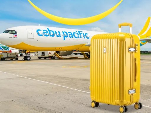 image for article Cebu Pacific Flight Cancellations 2026: List of Suspended International Routes and Refund Guide