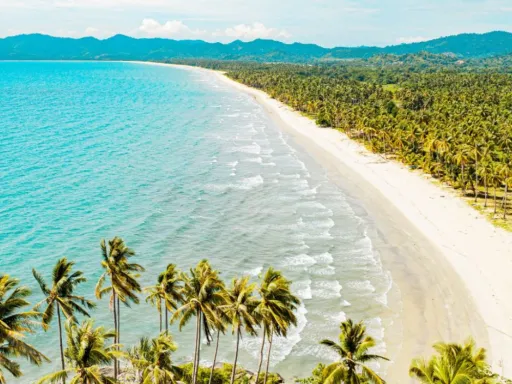 image for article San Vicente Palawan Travel Guide: Discover Long Beach and a Hidden Beach Paradise