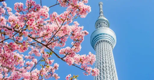 image for article Plenty of Attractions from Day Till Night! A One-Day Tour of TOKYO SKYTREE