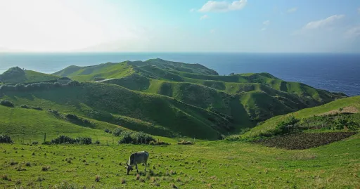 image for article 10 Must-See Batanes Tourist Spots for First-Timers