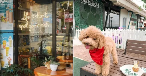 image for article 15 Most Adorable Pet Cafes and Restaurants in and Near Manila