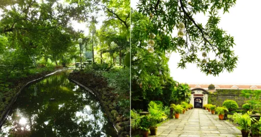 image for article 13 Nature Parks in Metro Manila for Chill Day Trips