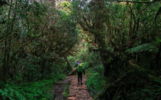 image for article 12 Mountains in the Philippines to Add to Your Bucket List