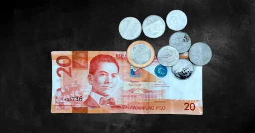 image for article Filipino Guy on Viral TikTok Video Burning ₱20 Bill Now Facing Charges